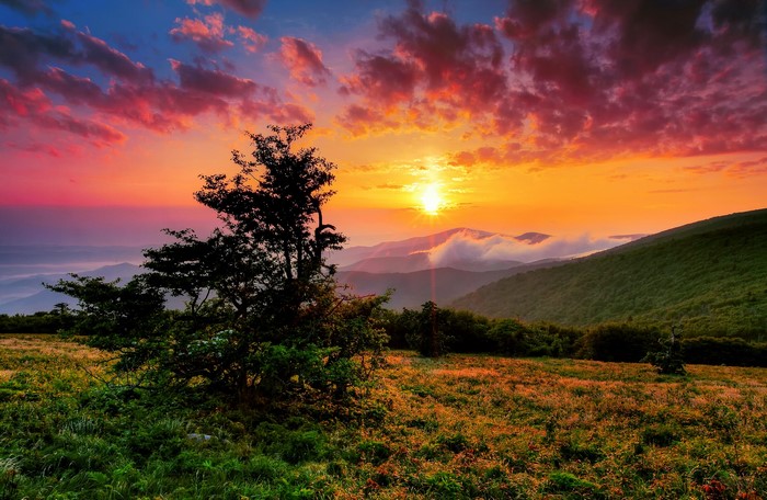 Sunrise over mountains with colorful clouds and tree