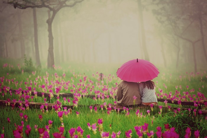 Couple under umbrella in flower field