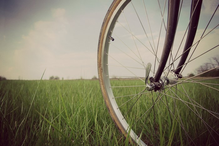 Close-up of a bicycle wheel in a grassy field