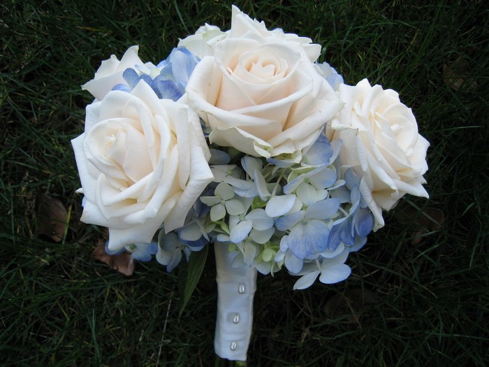White roses and blue hydrangeas bouquet