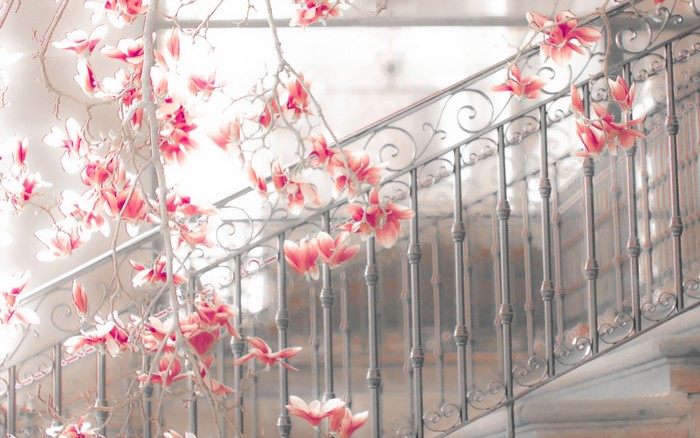 Pink Magnolia Blossoms on a Staircase Railing