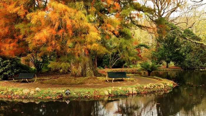 Terra Nostra Botanical Gardens Pond with Benches