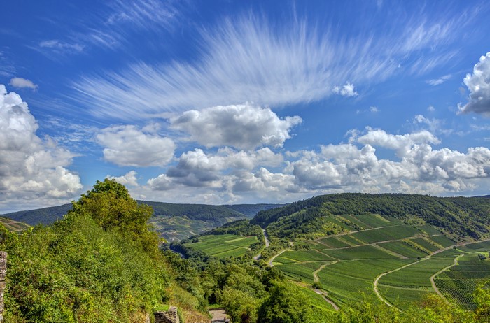 Vineyard landscape in Zell, Germany under a cloudy sky