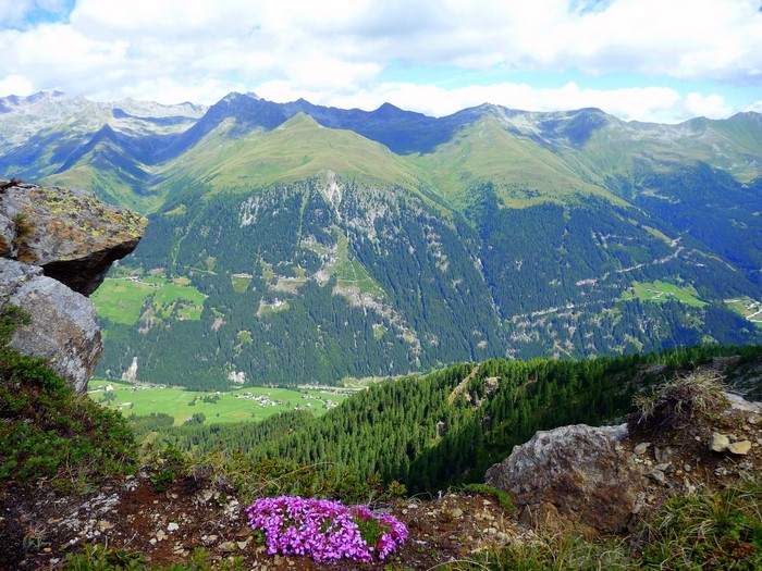 Alpine valley with green mountains and rocky foreground