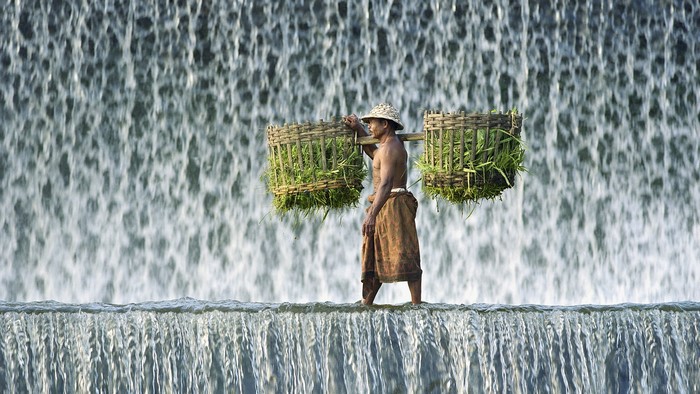 Man carrying baskets of grass across a waterfall