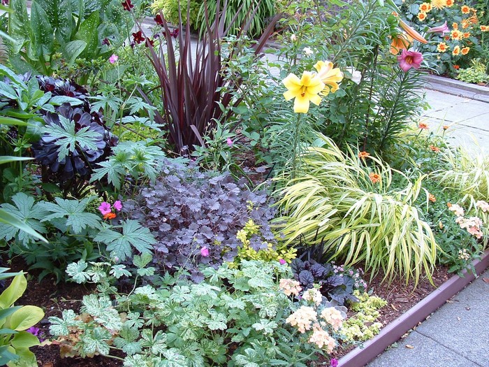 A vibrant garden with lilies and ornamental plants