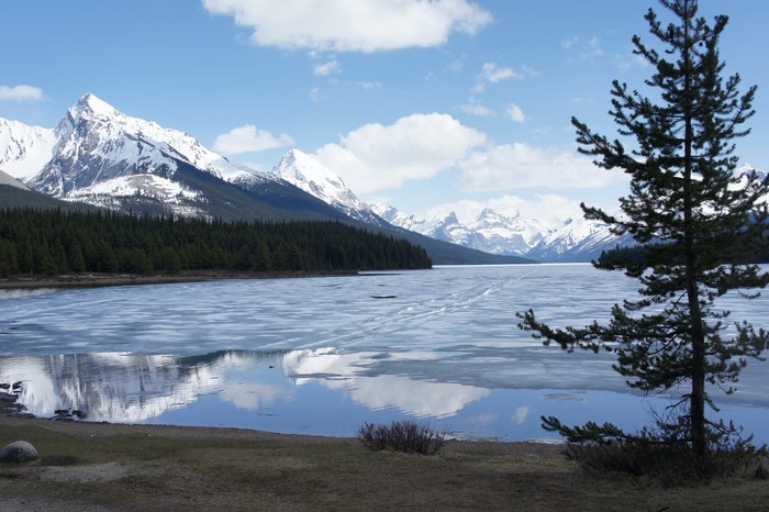 Maligne Lake in Jasper National Park, Canada