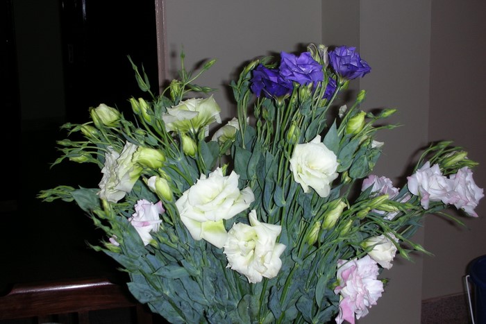 Bouquets of Lisianthus Flowers
