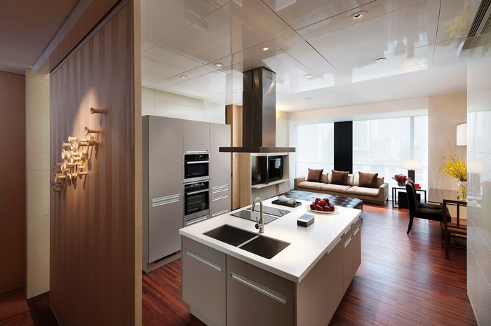 Modern kitchen and living room interior