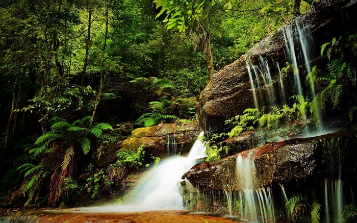 Waterfall cascading over mossy rocks in a dense forest