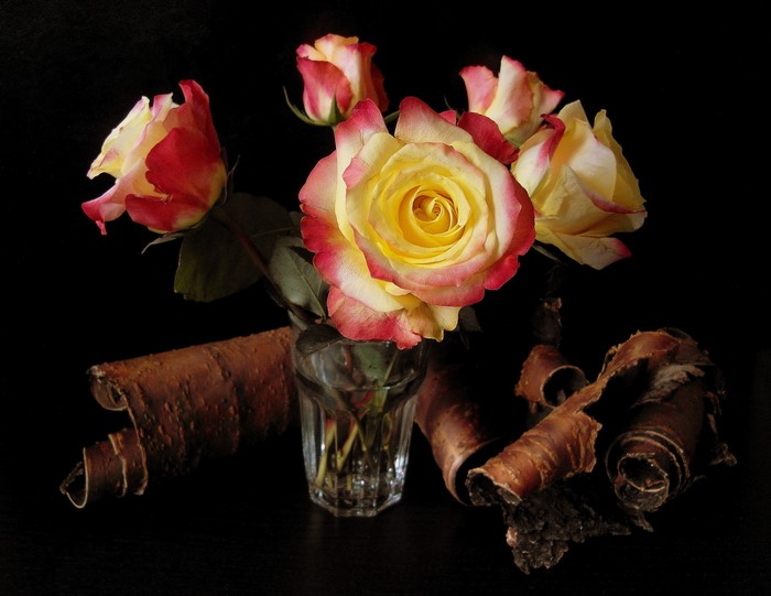 Yellow and red roses in a glass with bark