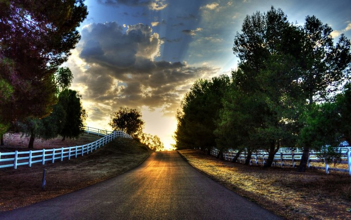 Road with white fence and trees at sunset