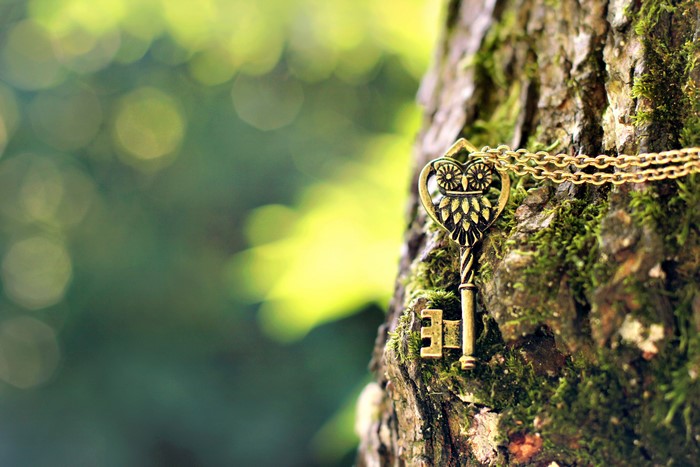 Key with owl pendant on mossy tree trunk