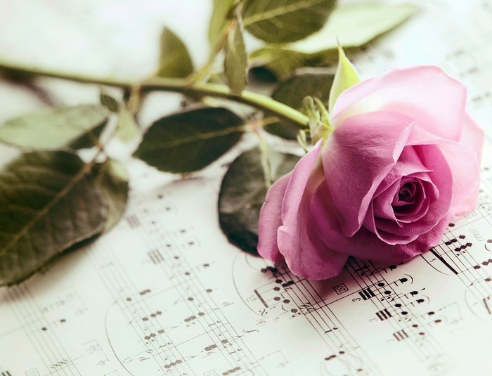 Pink rose on sheet music