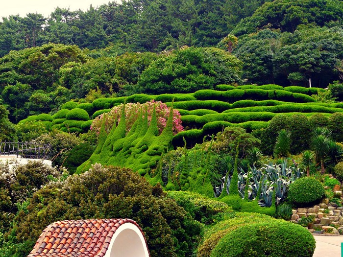 Terraced garden with sculpted shrubs and trees