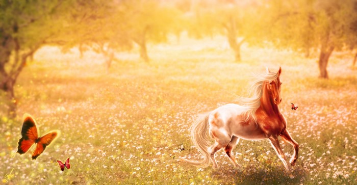 Horse and butterflies in a sunlit meadow