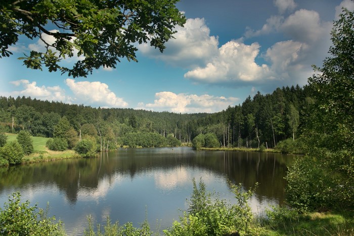 Lake surrounded by forests in Bavaria, Germany