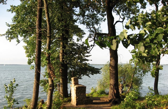Trees by the Water with Stone Structure