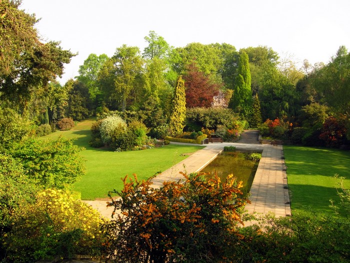 A beautiful garden with a pond and trees