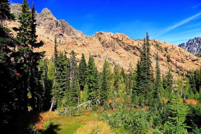 Rocky Mountains and Pine Forest in Leavenworth, USA