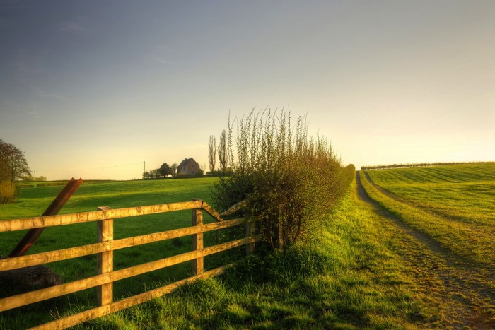 Rural landscape with fence and fields
