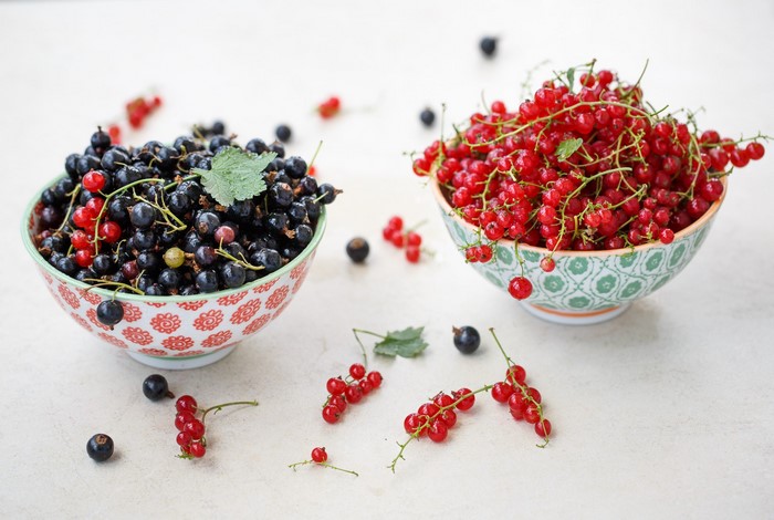 Two bowls of fresh currants, black and red