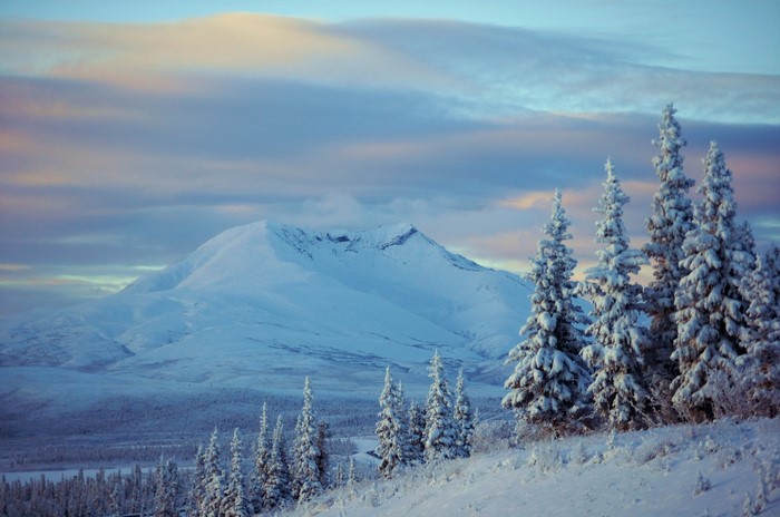 Snow-covered mountains and trees in Alaska
