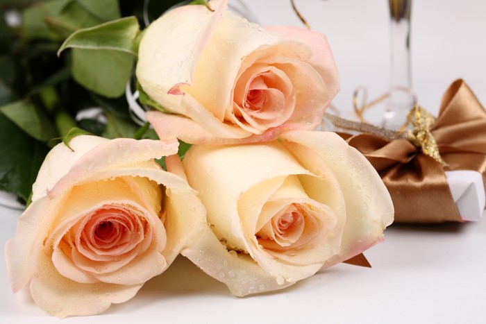 Three light pink roses with a gift box