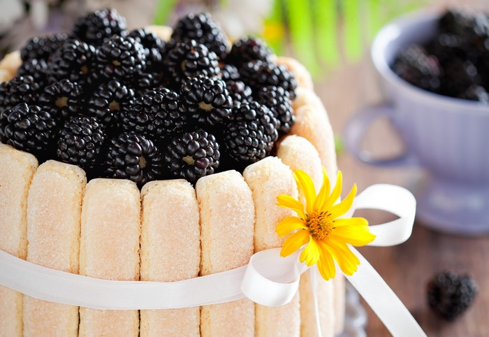 Blackberry Charlotte Cake with Yellow Flower