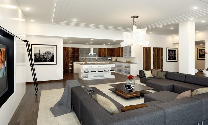 Modern Living Room and Kitchen Interior