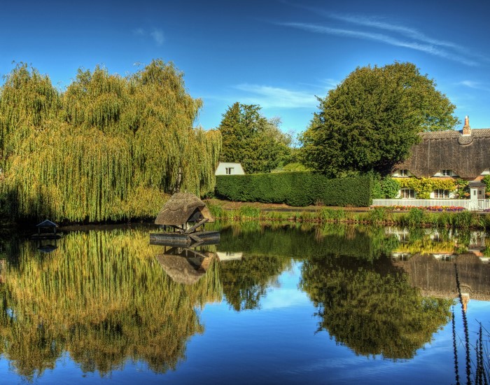 Thatched cottage by a pond with weeping willow