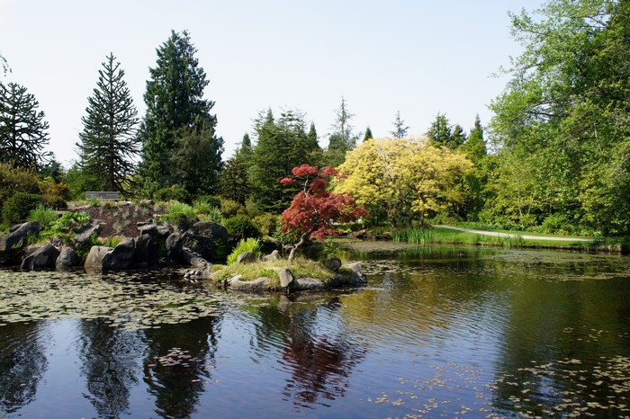 VanDusen Botanical Gardens Pond with Trees and Rocks