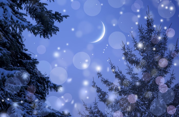 Winter night sky with crescent moon and snow-covered spruce trees