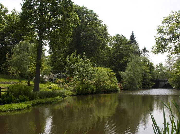 A tranquil lake surrounded by lush green trees and a stone bridge