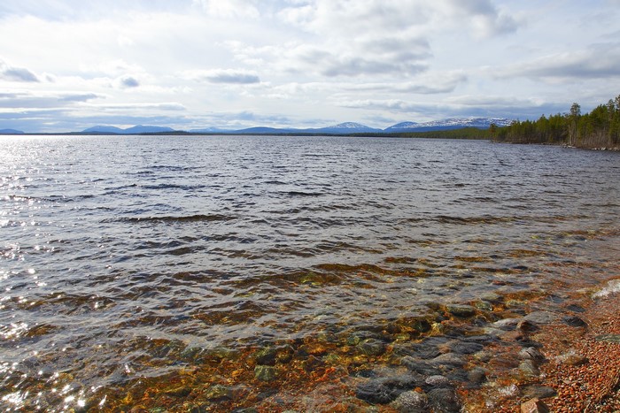 Lake with mountains and forest