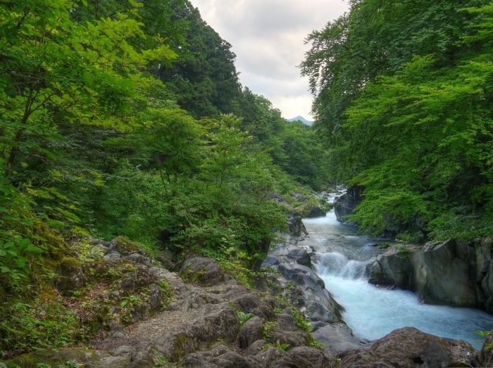 River flowing through a forest in Nikko, Japan