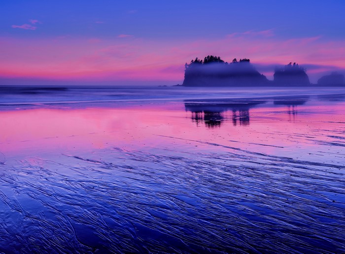Twilight Beach with Sea Stacks in Washington