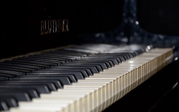 Bluthner piano keys