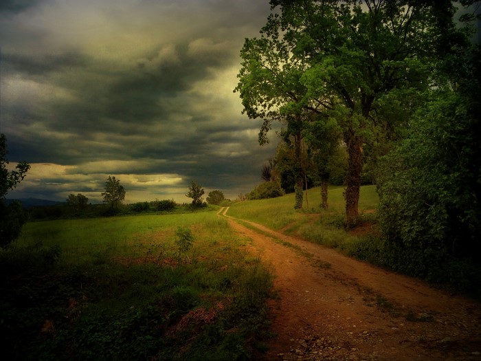 Dirt road through a grassy field under a stormy sky