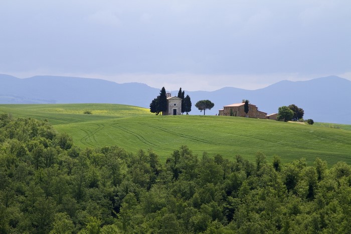 Tuscan landscape with rolling green hills and buildings