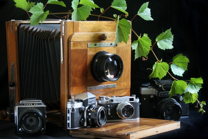 Retro cameras and a large format camera with grape leaves