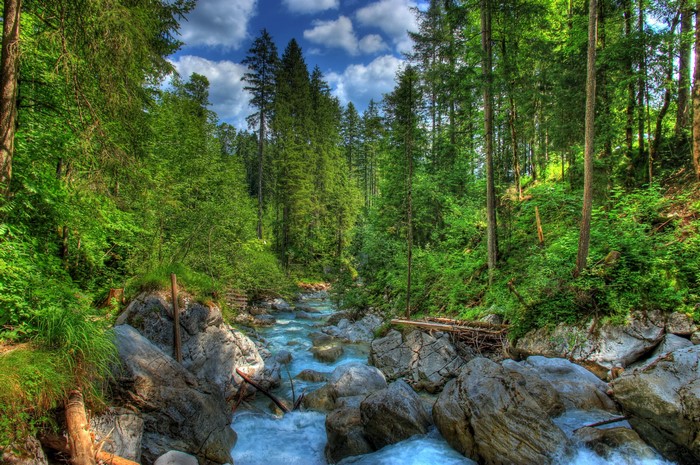 River flowing through a forest in Bavaria, Germany