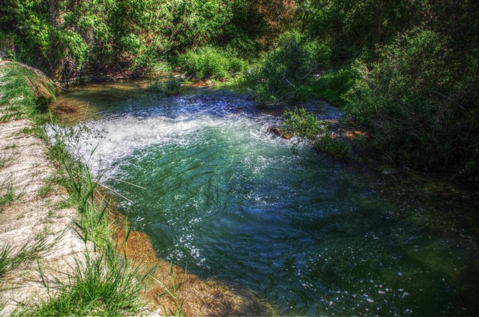 River flowing through a forest in Spain