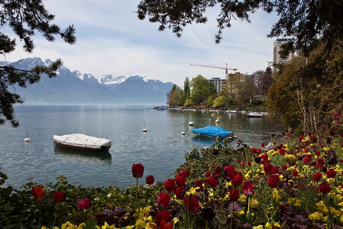 4K Lake Geneva with Mountains and Tulips in Montreux, Switzerland