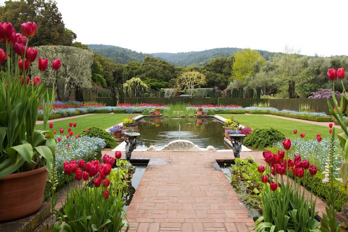 Filoli Garden with Tulips and Reflective Pond