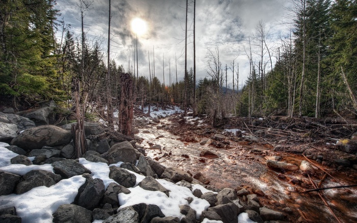 Rocky stream bed in a forest with snow