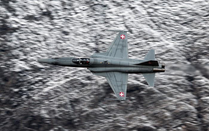 Swiss F-5E Tiger II fighter jet in flight