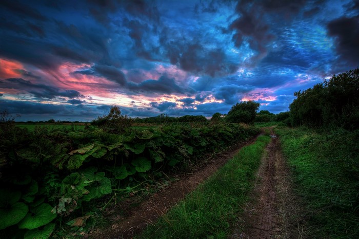 Dirt road through green fields under stormy sky