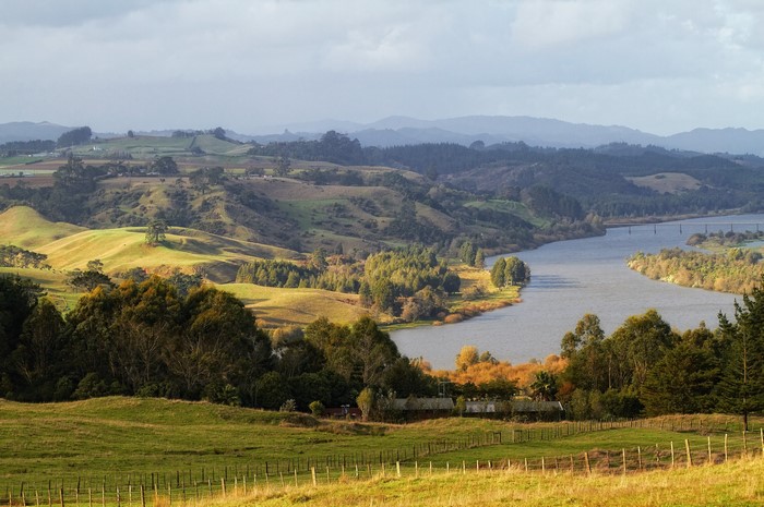 Waikato River landscape, New Zealand