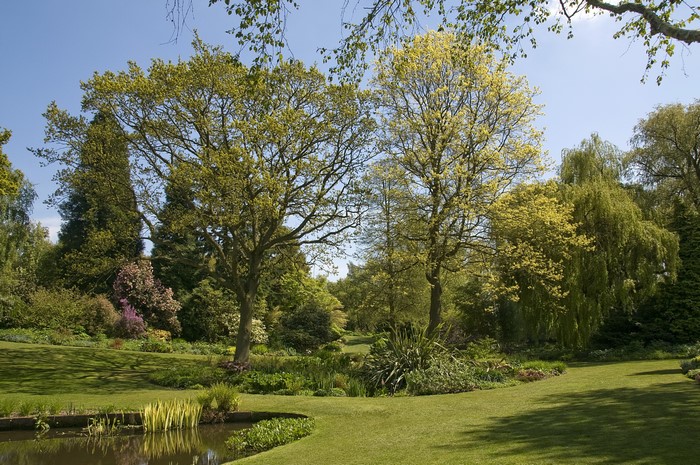 Park with trees and a pond